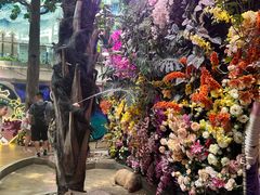 -正佳雨林生态植物园