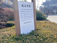-圆通寺