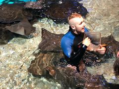 -瑞普利水族馆