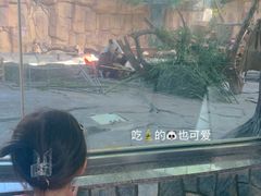 -泉州海丝野生动物世界