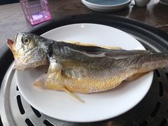 南海大黄花鱼-鲜小岛·铜锅涮肉