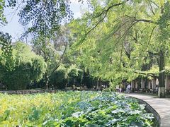 -四川大学(华西校区)