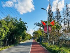 -上海长兴岛郊野公园