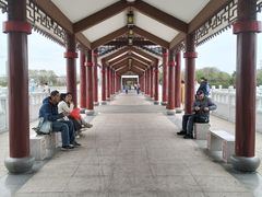 -长洲岛