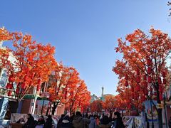 -沈阳方特欢乐世界