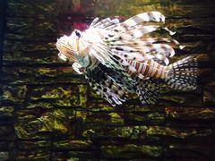 -北戴河圣蓝海洋公园