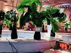 -水晶之星洗浴温泉汗蒸