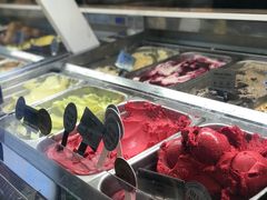 -Patagonia Chocolates(皇后镇店)