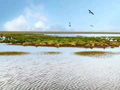 -花湖生态旅游区