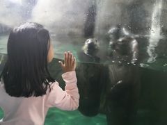 -嘉兴海底世界