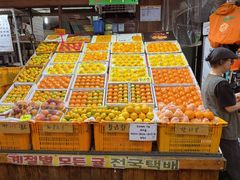 -西归浦每天偶来市场