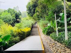-仙岳公园