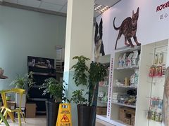 -瑞派申生动物医院·24H夜诊·国际动物医疗中心·骨外科(吴中路店)