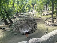 -哈尔滨北方森林动物园