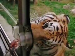 -西安秦岭野生动物园