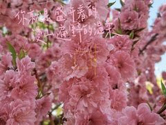 -丰台花园