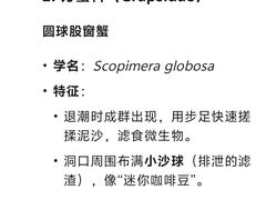 -日照海滨国家森林公园