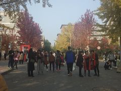 -辽宁大学(崇山校区)