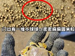 -巧克力渔家.小船海鲜家常菜(万平口店)