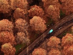 -黄海国家森林公园