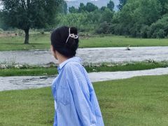 -芦芽山旅游度假区