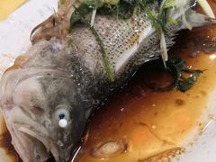 -鸿达渔港