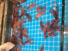 -星伦多自助料理(江阴万达店)