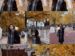 -辽宁大学(崇山校区)