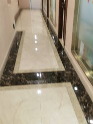 -碧莲盛·不剃发植发