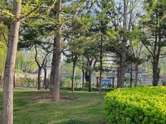 -迎泽公园
