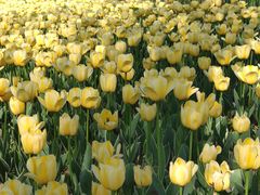 -廊坊文化艺术中心