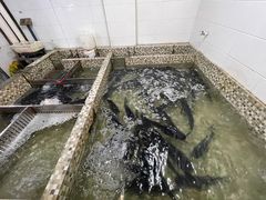 -陈大锅·岳阳鱼馆·地道岳阳菜(美食街店)