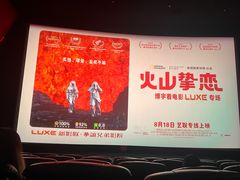-新影联·华谊兄弟影院(望京店)