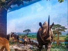 -国家自然博物馆