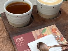 -Again Coffee Roaster(香蜜湖店)