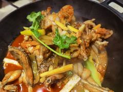 湘西霸王蛙-望湘园·湖南菜(宏伊店)