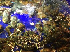 -79号渔船海鲜饭店(华强北店)