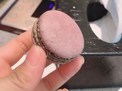 马卡龙-乔哥铭洋海鲜自助(皇城恒隆广场店)