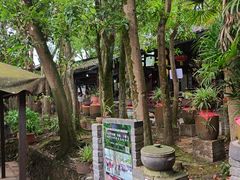 -土砂锅生态山庄·非遗砂锅雅鱼