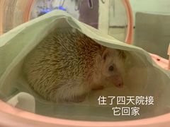 -爱诺耐芙动物医院(万博店)