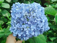 -重庆雨台山风景区