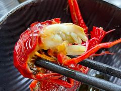 特色油焖大虾-庾氏龙虾馆(多弗汇店)