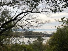 -上海市保健医疗中心(华东疗养院)
