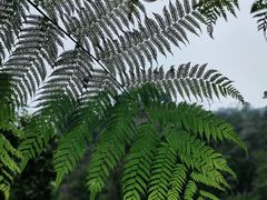 -赤水丹霞旅游区·佛光岩