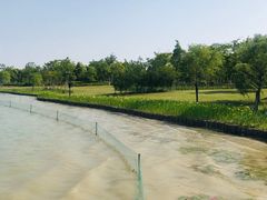 -海宁鹃湖公园