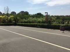 -兴安湖生态运动公园