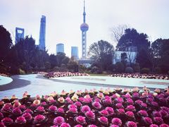 -东方明珠广播电视塔