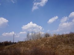 -御道口草原森林风景区