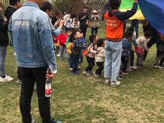 -田园东方蜜桃村的田野营地