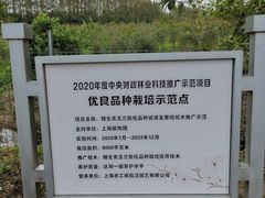 -上海长兴岛郊野公园